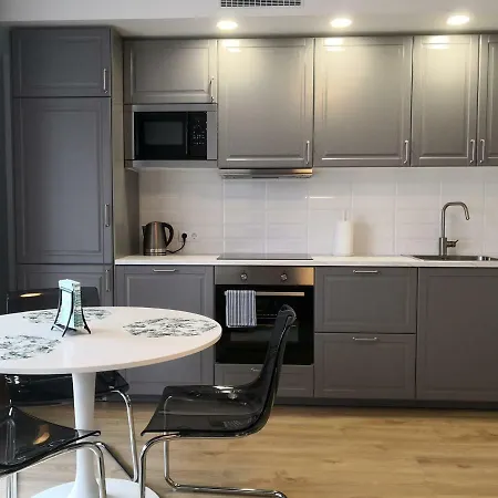 Spacious Close To The Old Town Apartment Vilnius