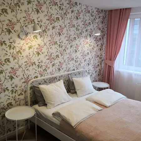 Spacious Close To The Old Town Apartment Vilnius