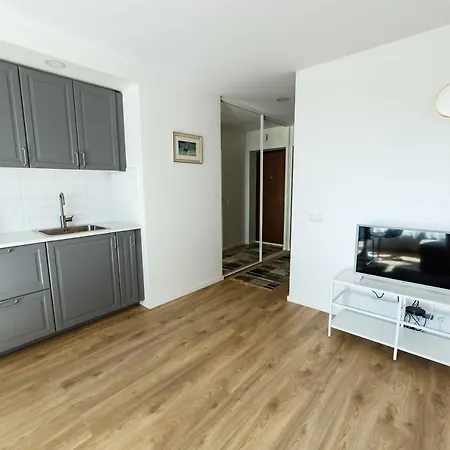 Spacious Close To The Old Town Vilnius