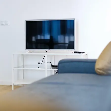 Spacious Close To The Old Town Apartment Vilnius