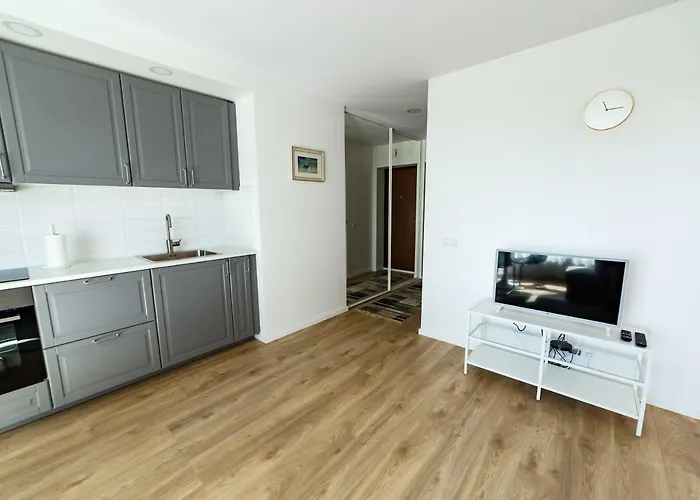 Spacious Close To The Old Town Vilnius